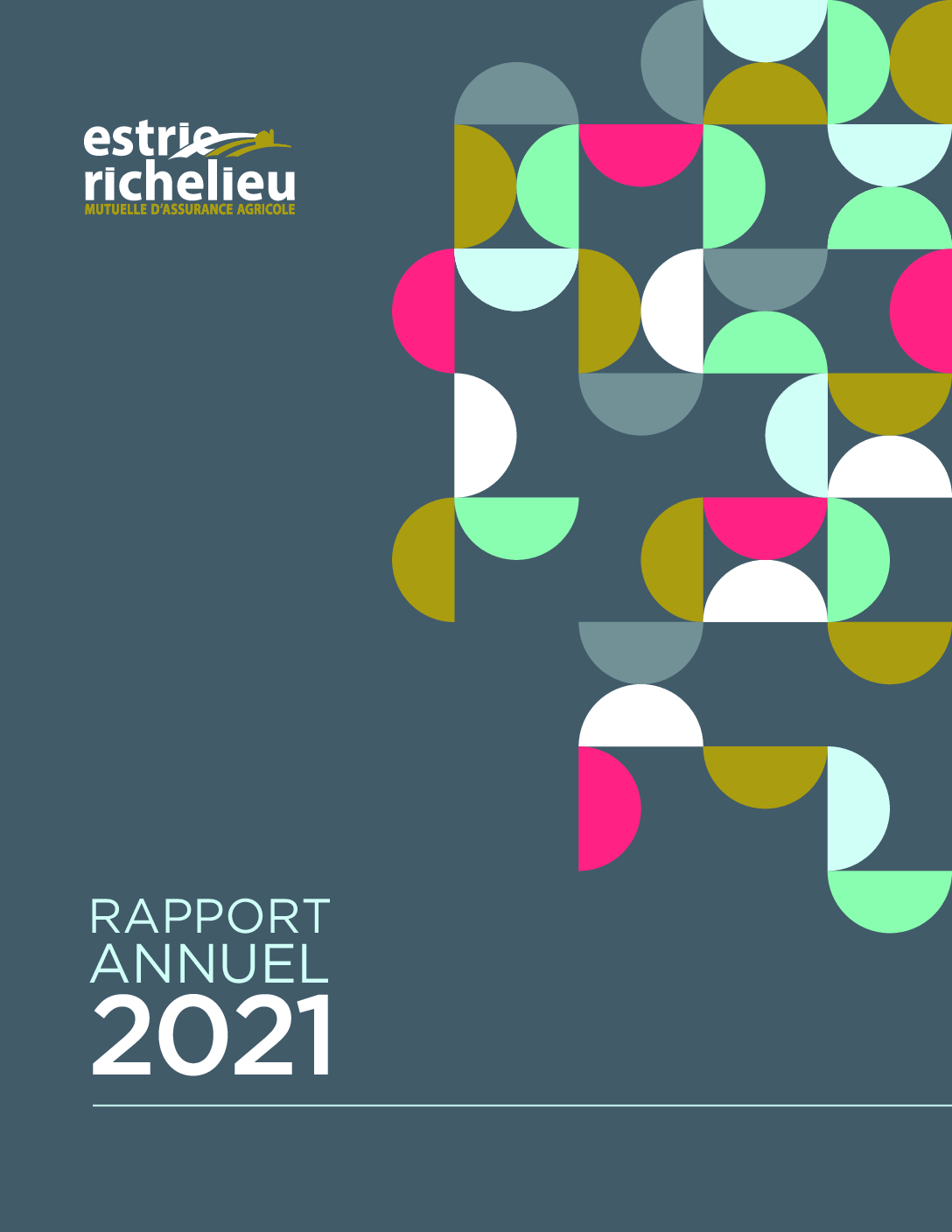 Rapport annuel - Estrie Richelieu 2016 couverture