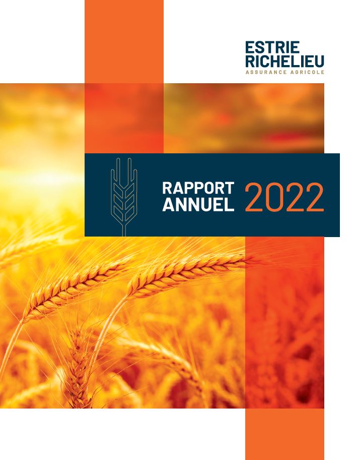 Rapport annuel - Estrie Richelieu 2016 couverture