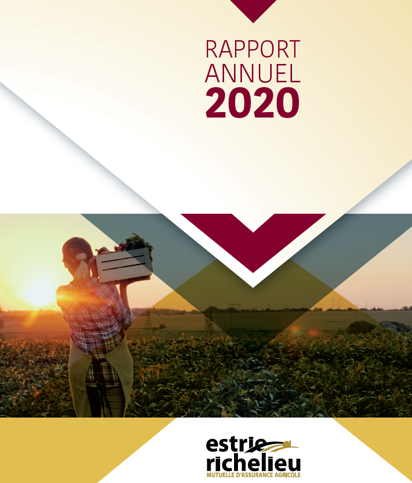 2020GER-Rapport-annuel-couverture 2020GER-Rapport-annuel-couverture
